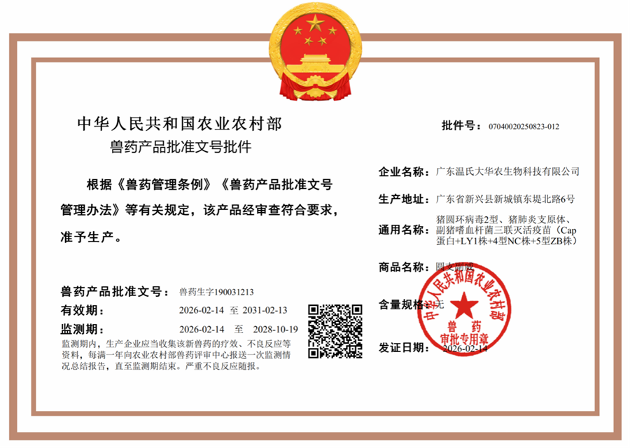 2026/02/20260227161707688.png?5Zu+54mHMV/lia/mnKwucG5n